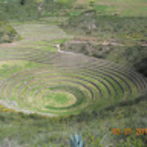 Meet your Posher, Camille